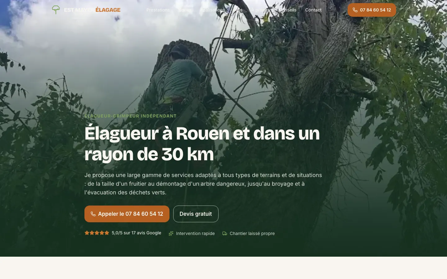 Capture d'écran du site Est Mayer Élagage (Élagage & abattage, Rouen (76))